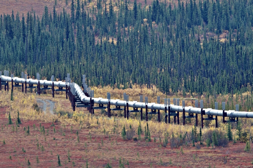 Trans Alaska Pipeline System Trans Alaska Pipeline System