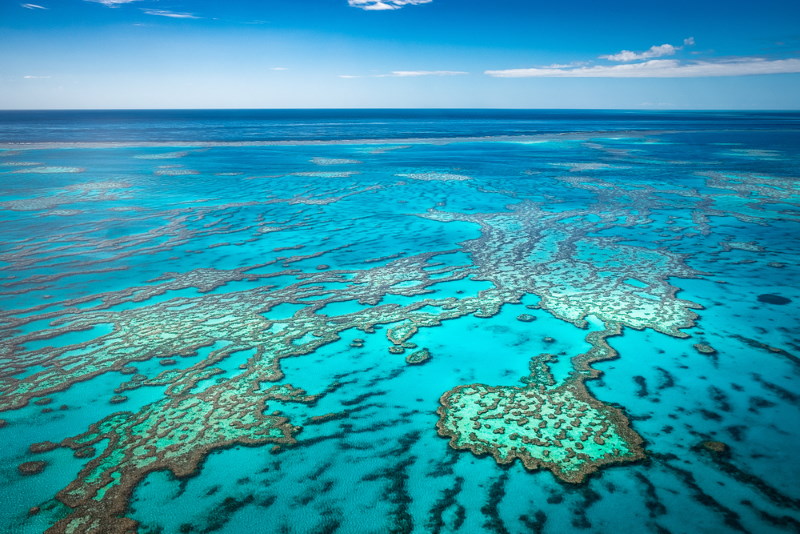 Great Barrier Reef (2)