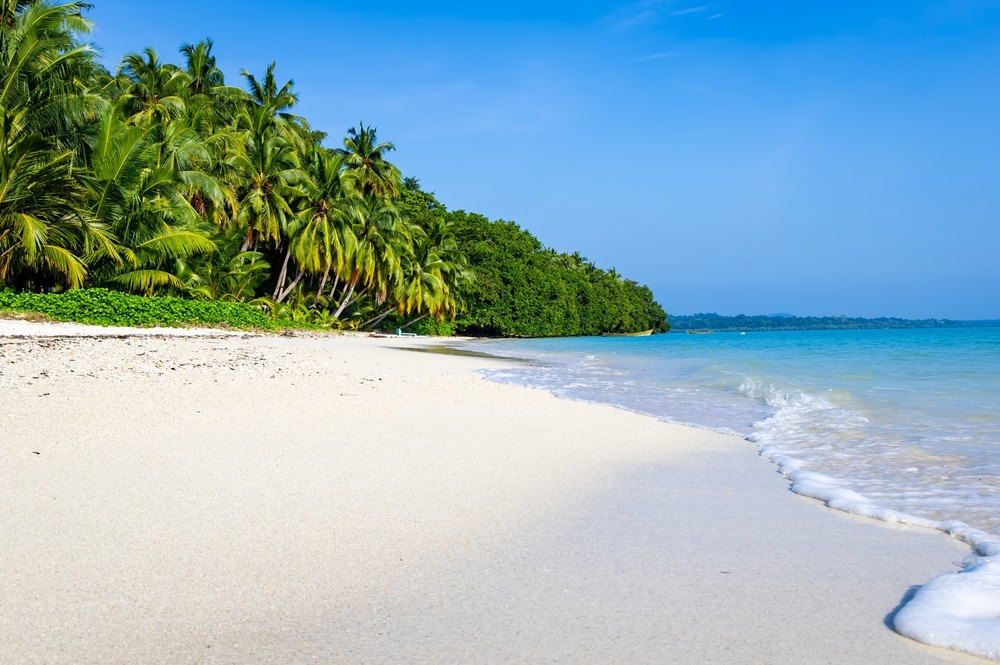 Radhanagar Beach
