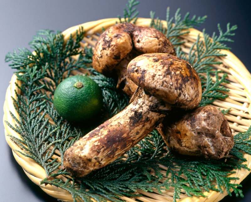 Matsutake