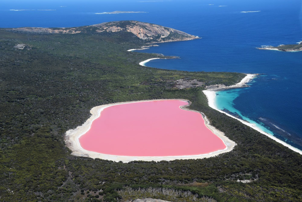 roze meer