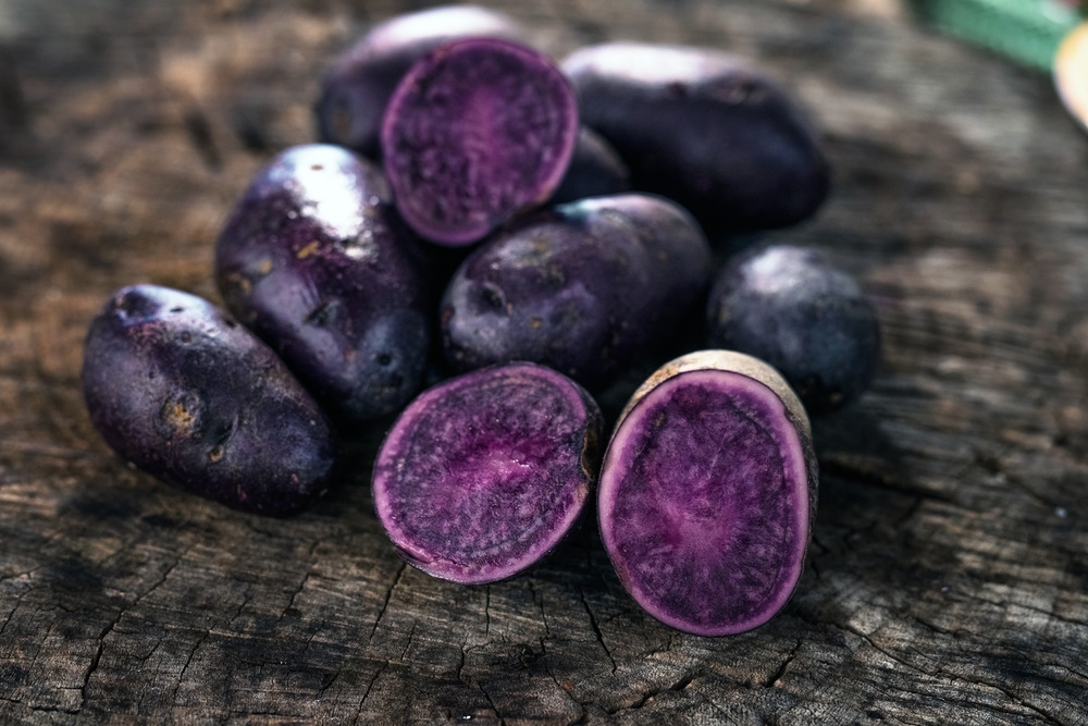 blauwe aardappel
