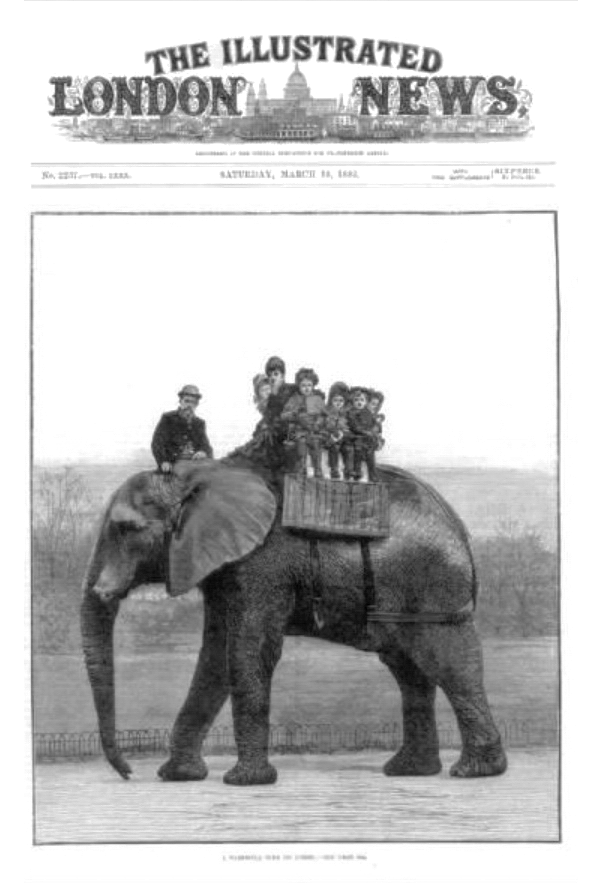 Jumbo de Olifant