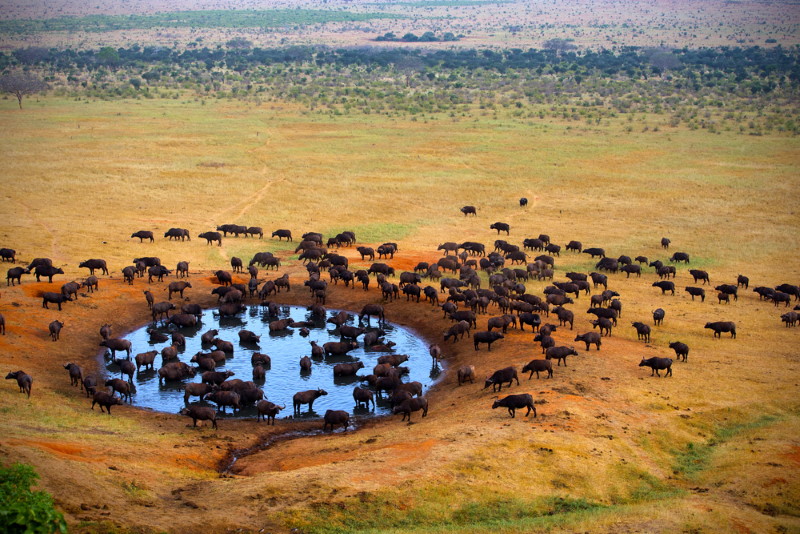Kruger National Park