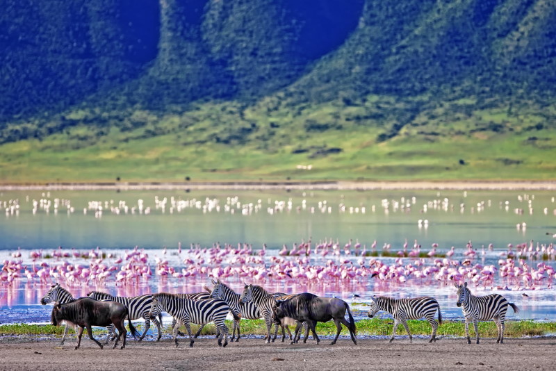 Ngorongoro