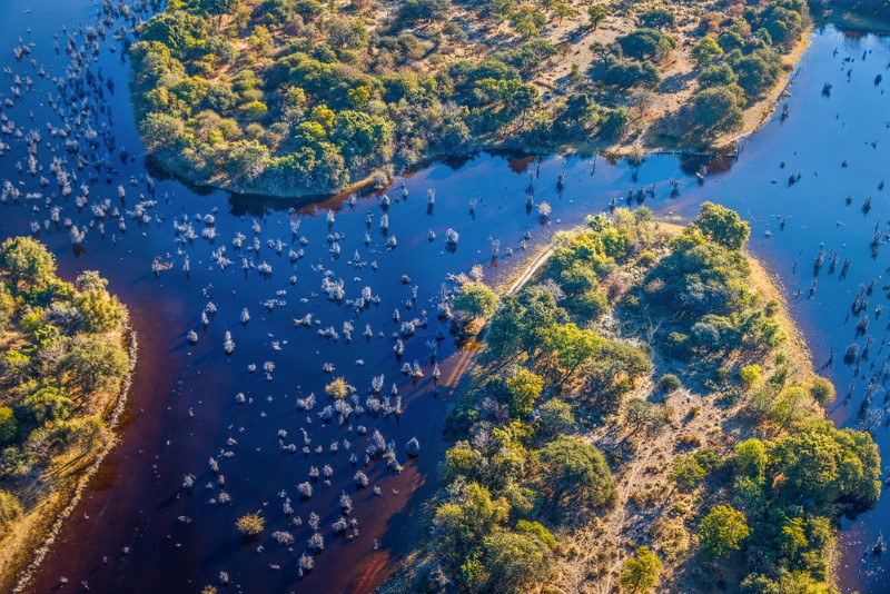 Okavango Delta, Okavango Delta,