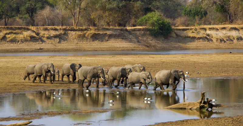 South Luangwa