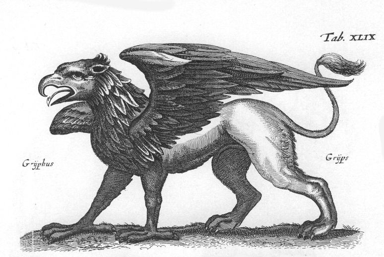 Griffioen