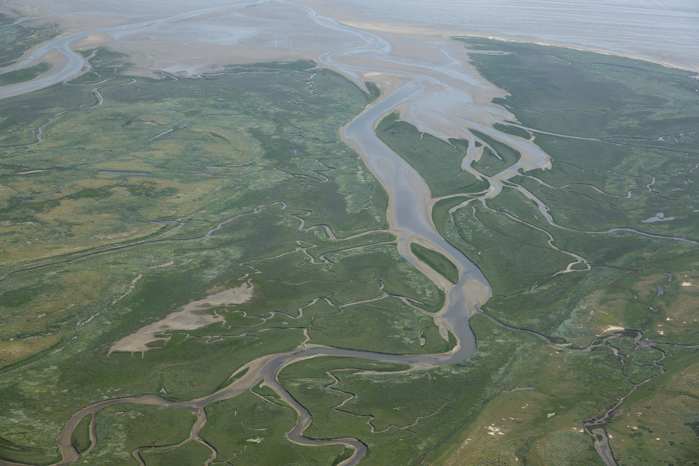 Waddenzee Waddenzee
