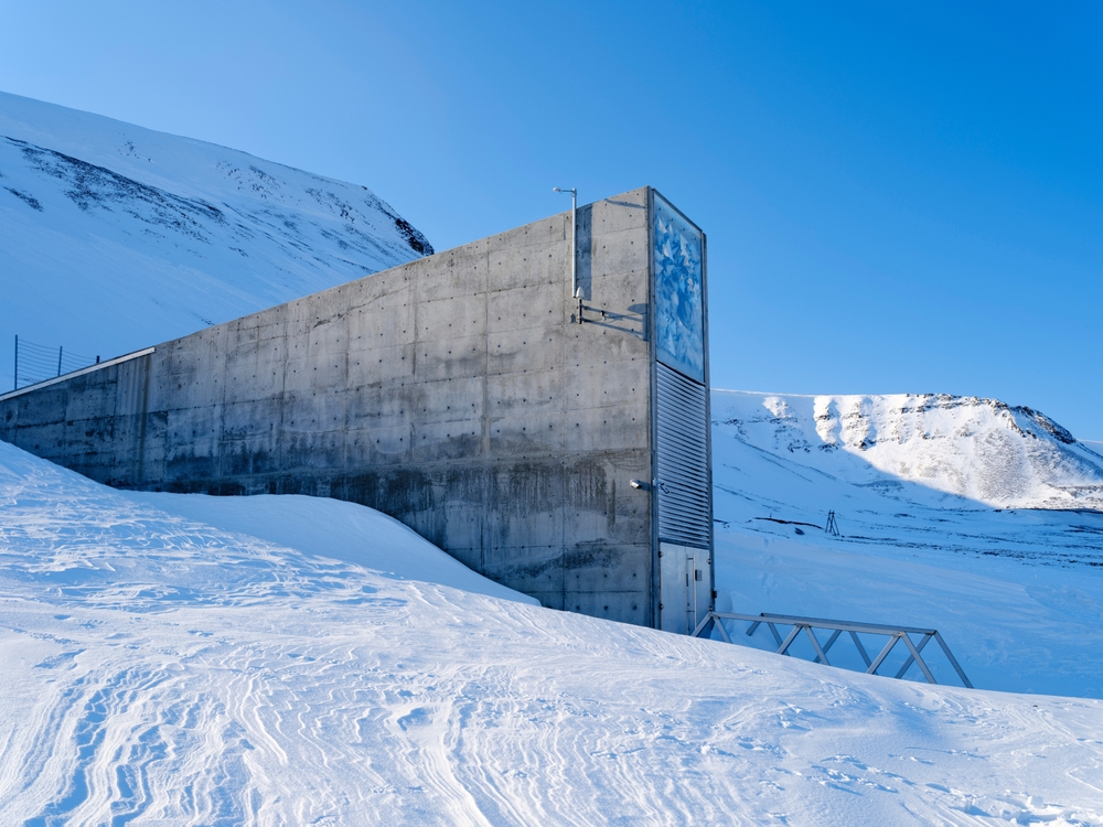 Svalbard vault