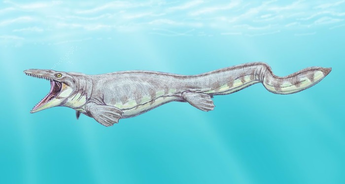 Tylosaurus