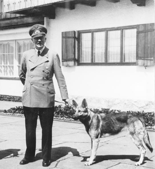 hilter met hond
