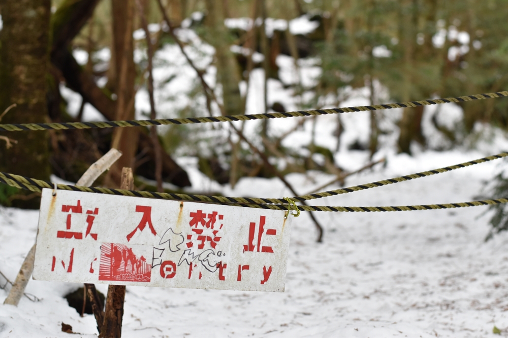 Aokigahara Aokigahara