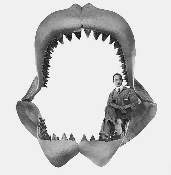 megalodon