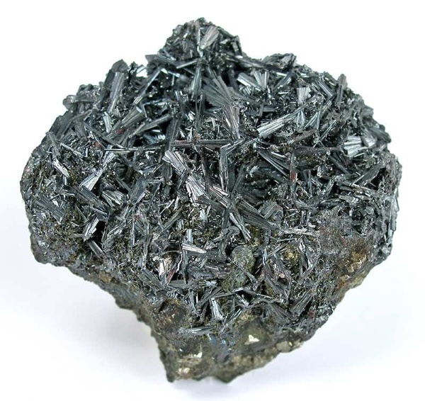 Hutchinsoniet