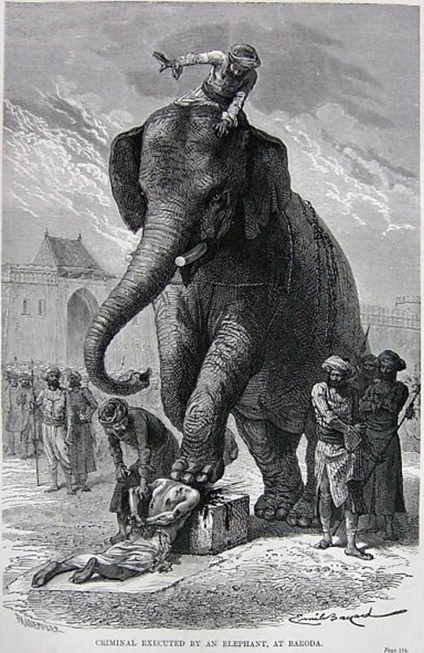Verplettering door een olifant