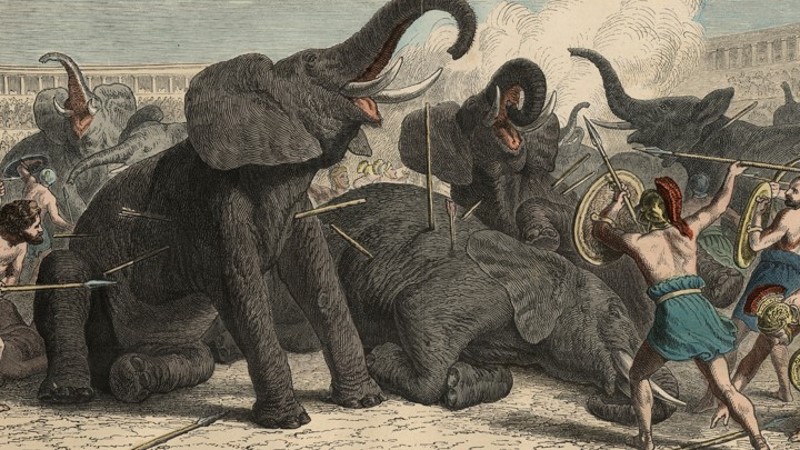 dierengevechten in het colosseum