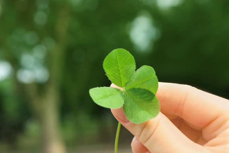 klavertje 4 hoefijzer voor geluk