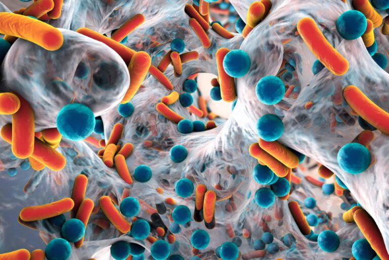vleesetende bacterien