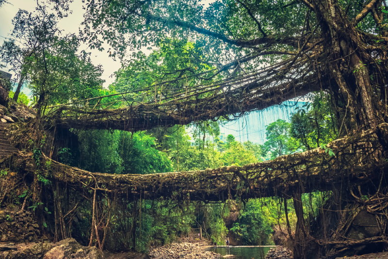 Cherrapunji brug