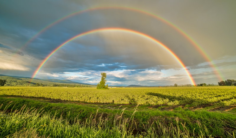 dubbele regenboog