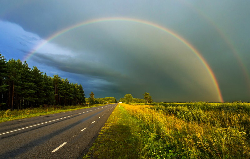 prachtige regenboog