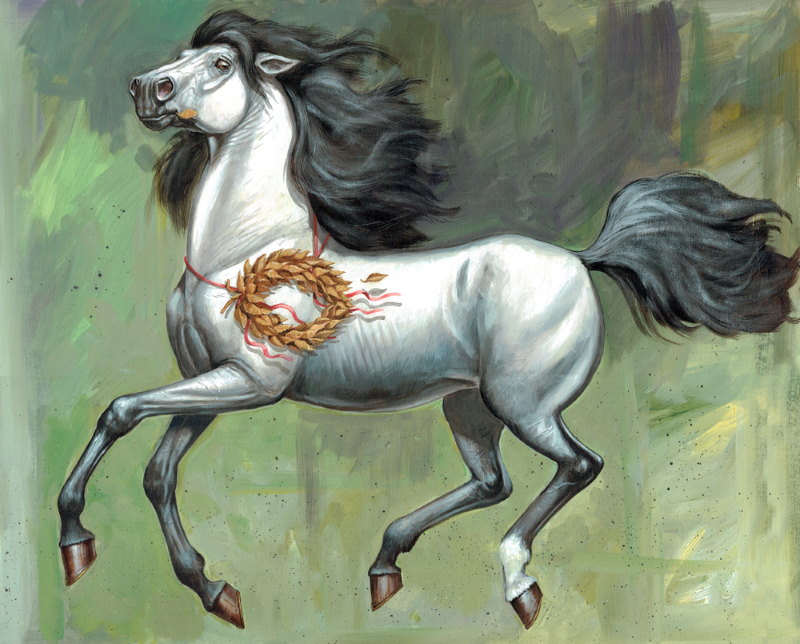 Top 10 Beste Racepaarden Aller Tijden Incitatus