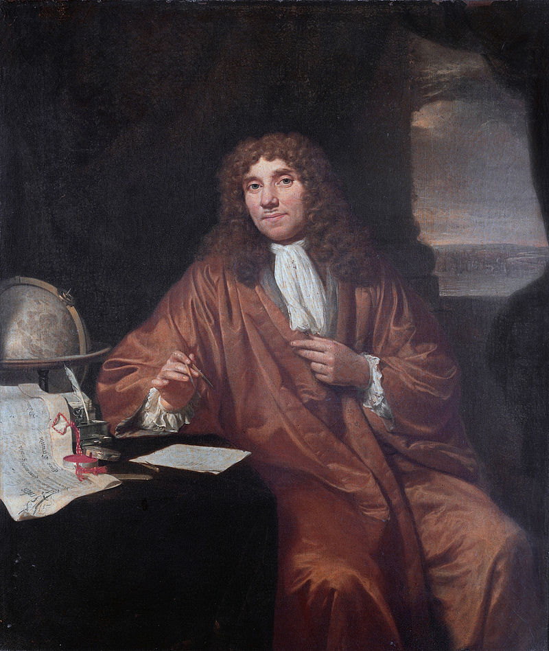 Leeuwenhoek 