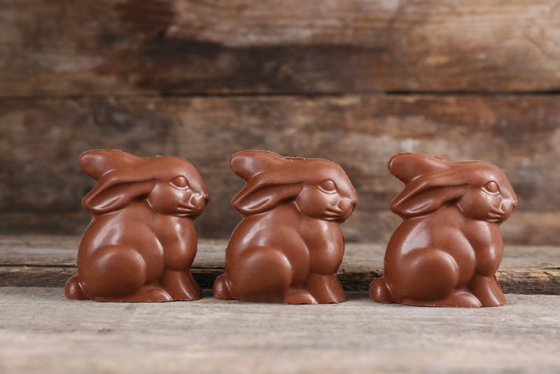 chocolade konijn