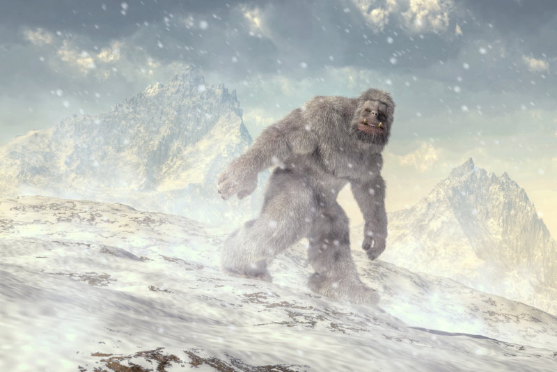 yeti 2