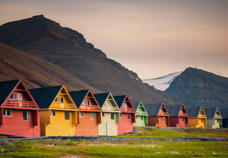 Spitsbergen ijsbeer