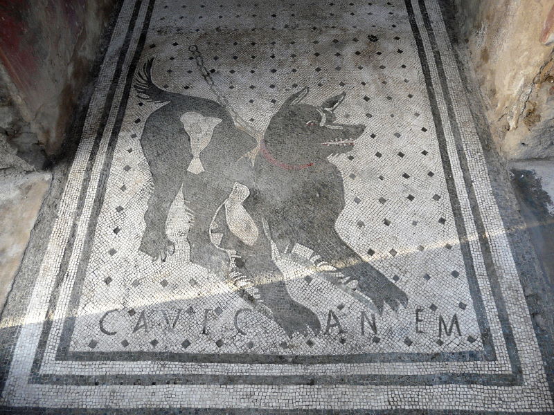 cave canem