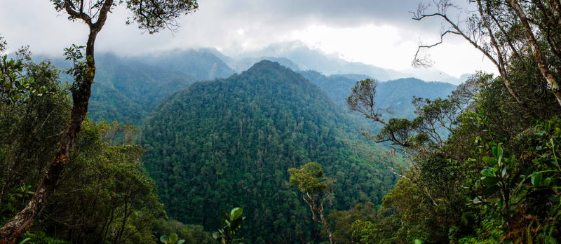 Honduras