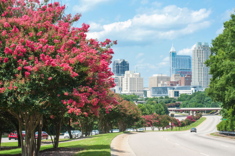 North Carolina