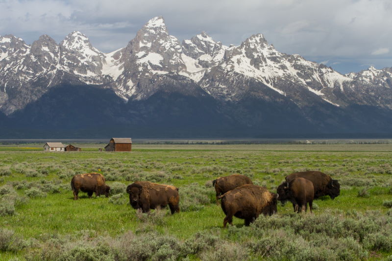 Wyoming