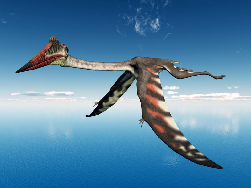 Quetzalcoatlus