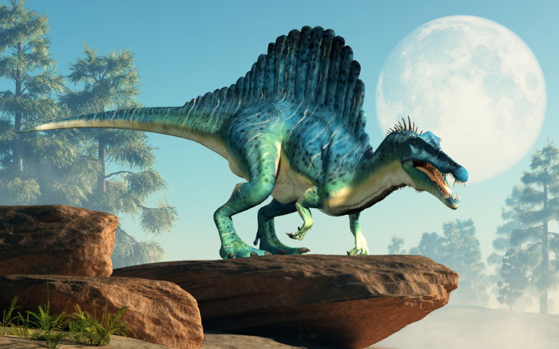 Spinosaurus Spinosaurus