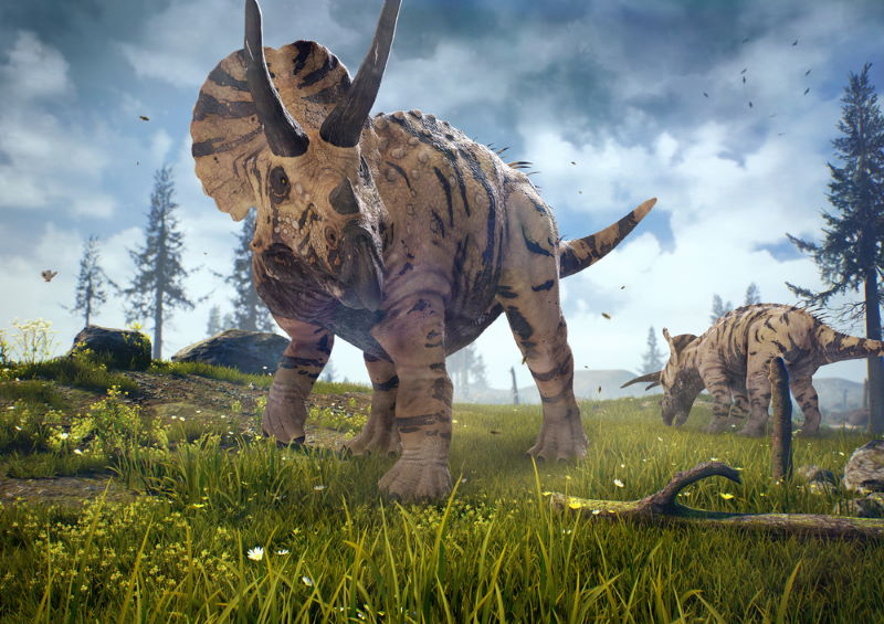 Triceratops Triceratops
