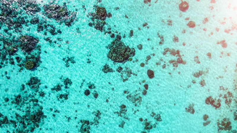 Great Florida Reef