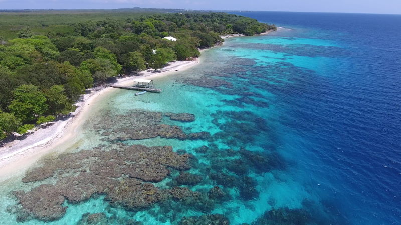 Mesoamerican Barrier Reef System2