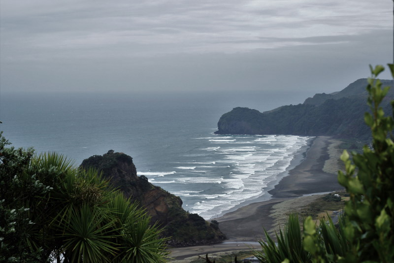 Piha Beach