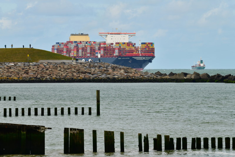 MSC Gulsun