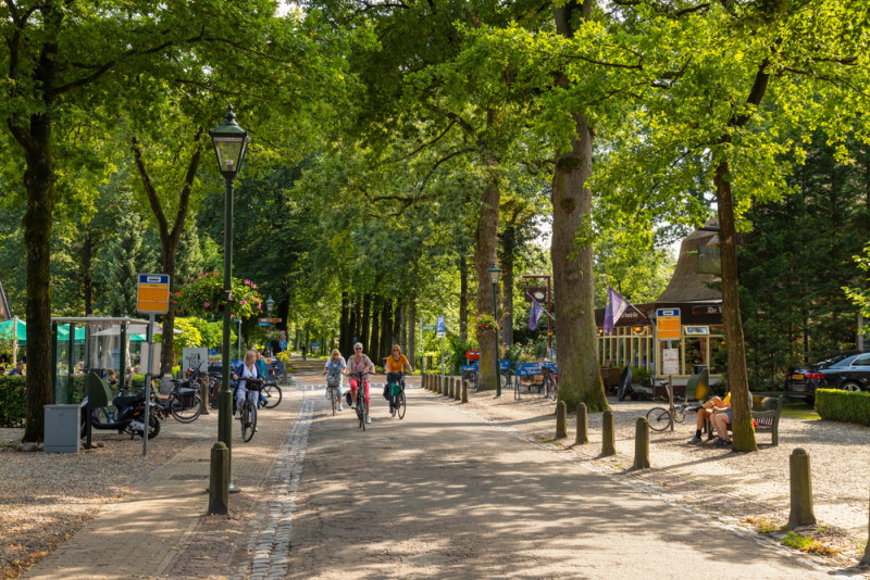 lage vuursche