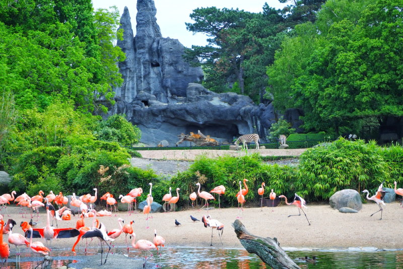 Tierpark Hagenbeck