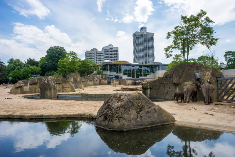 Zoo Köln
