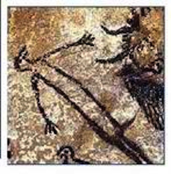 grotte des combarelles