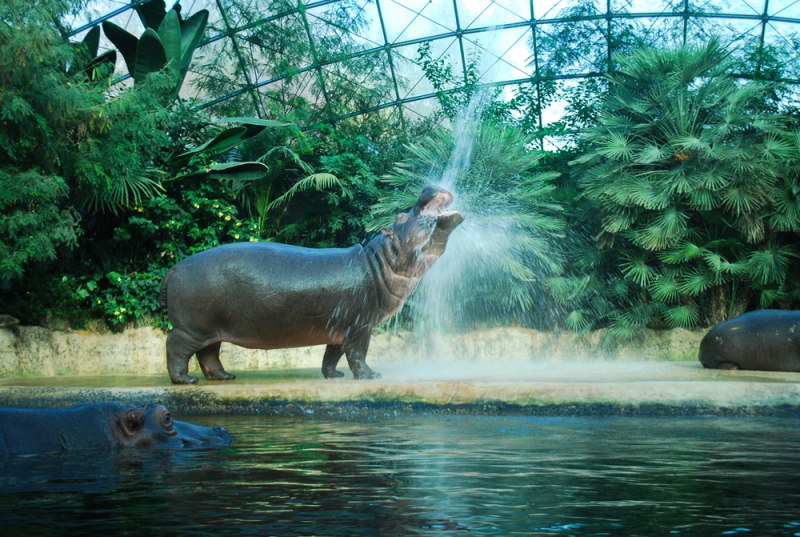 zoo berlin