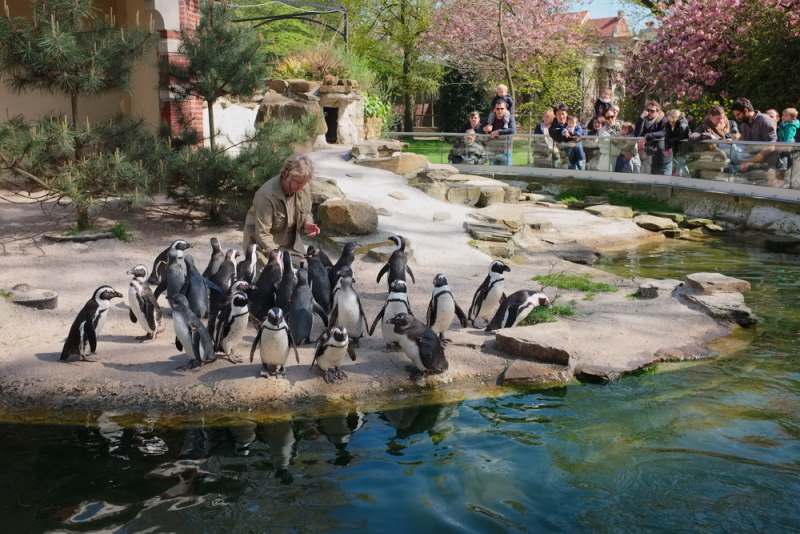 Antwerp Zoo