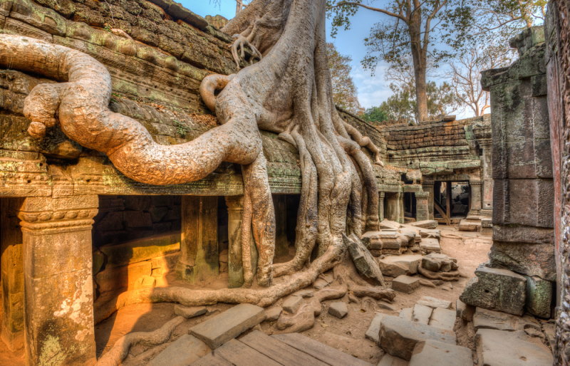 ta prohm 2