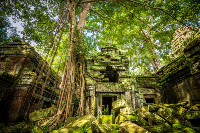val van angkor wat